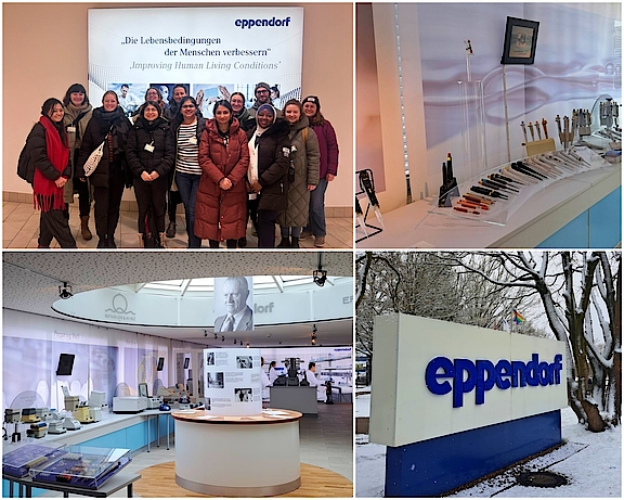 collage_Eppendorf.jpg  