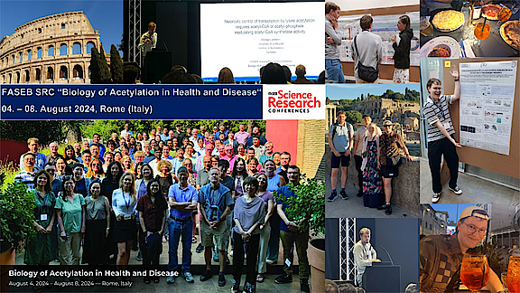 Report_FASEB_Rome_2024.jpg