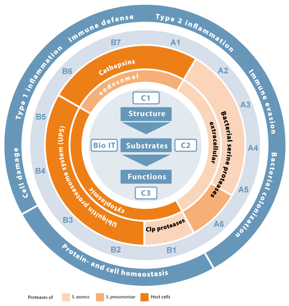 grafik_1_V4_web_-01.jpg  