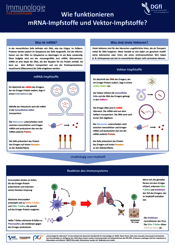 24-25-mRNA-Vektor-Impfstoffe-DINA0-2022-final.pdf  