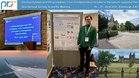 Report_Edinburgh_2023.jpg  